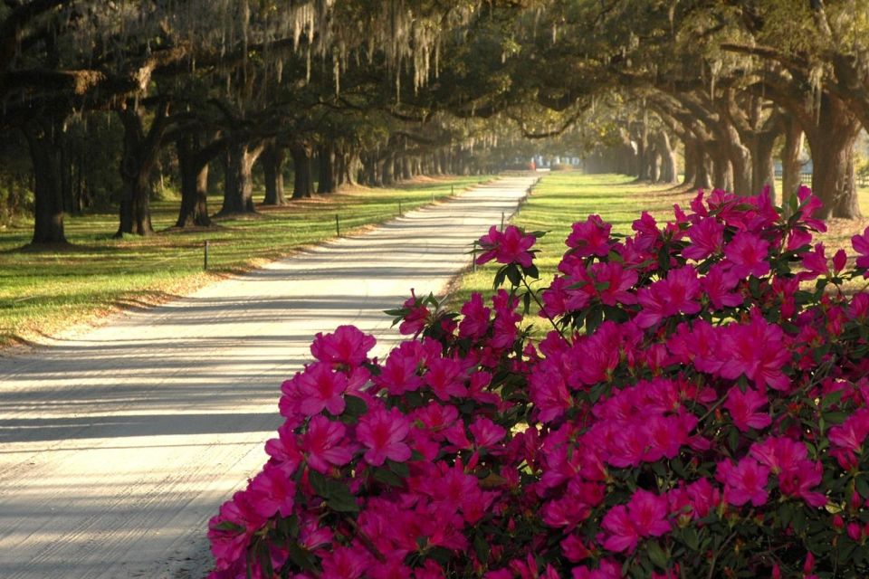 Charleston: Boone Hall & Historic City Tour Combo - Frequently Asked Questions