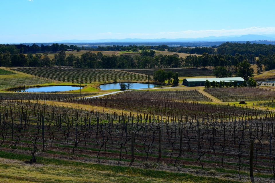 Chef-Led Hunter Valley Food & Wine Tour From Sydney - Frequently Asked Questions