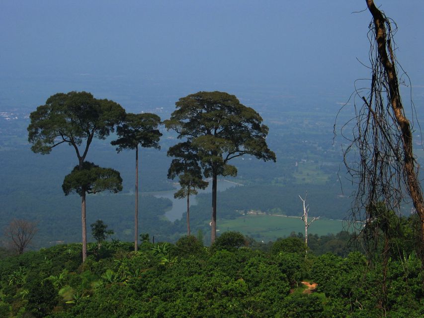 Chiang Mai: 20km Downhill Mountain Biking Challenge Suthep Mountain - Frequently Asked Questions