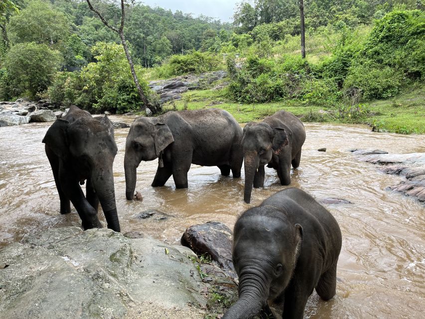 Chiang Mai: Doi Inthanon and Elephant Sanctuary Tour - Frequently Asked Questions