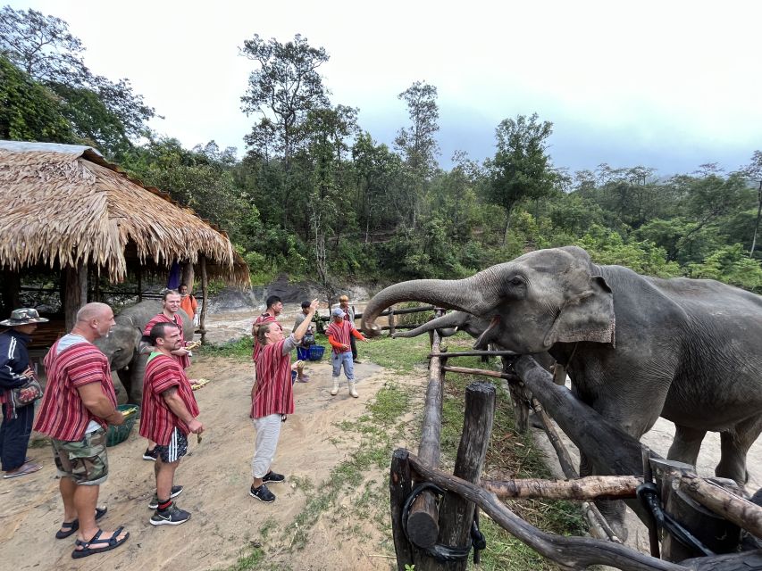 Chiang Mai: Elephant Sanctuary & Waterfall Group Tour - Key Points