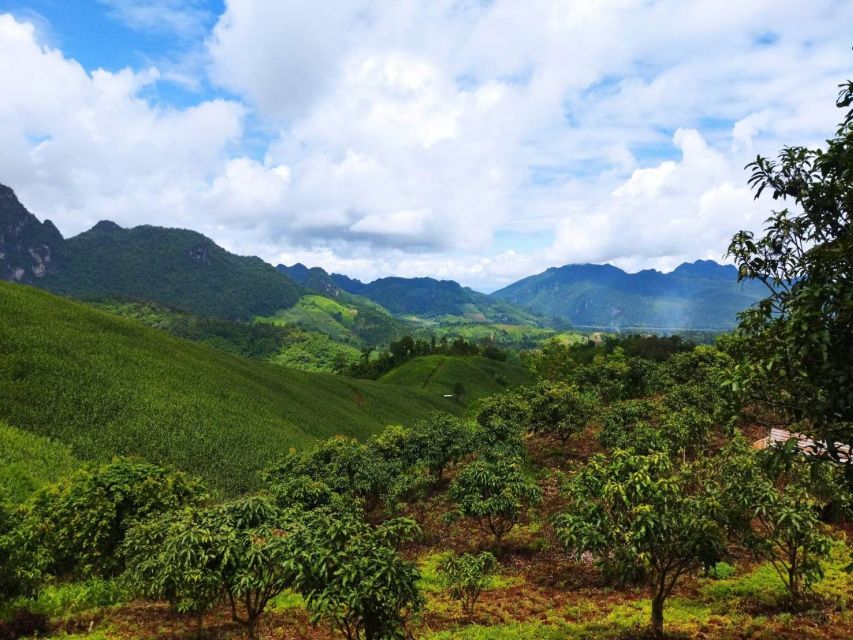 Chiang Mai: Full Day 5 Hill Tribes Tour With Guide & Van