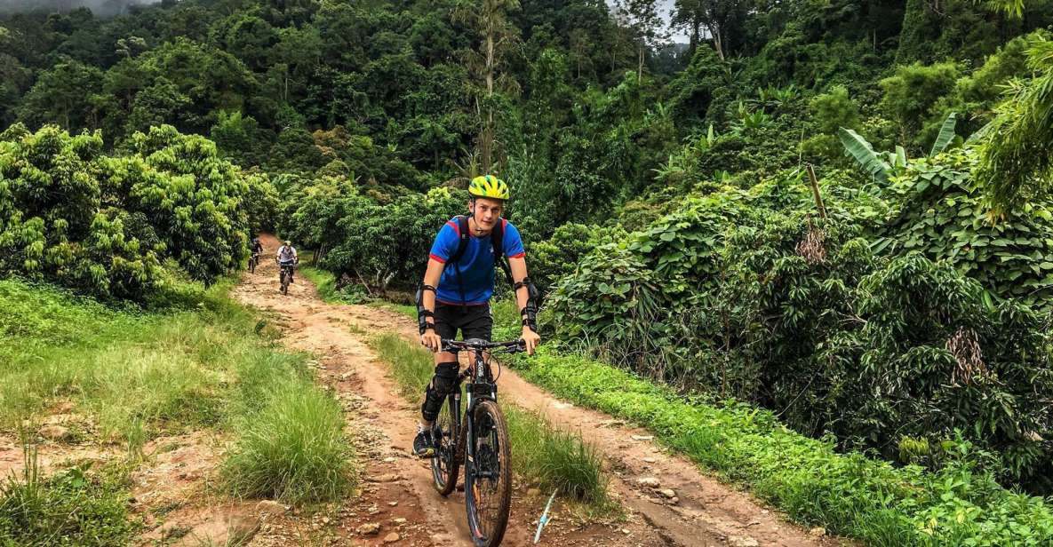 Chiang Mai: Suthep National Park Hiking & DH Mountain Biking