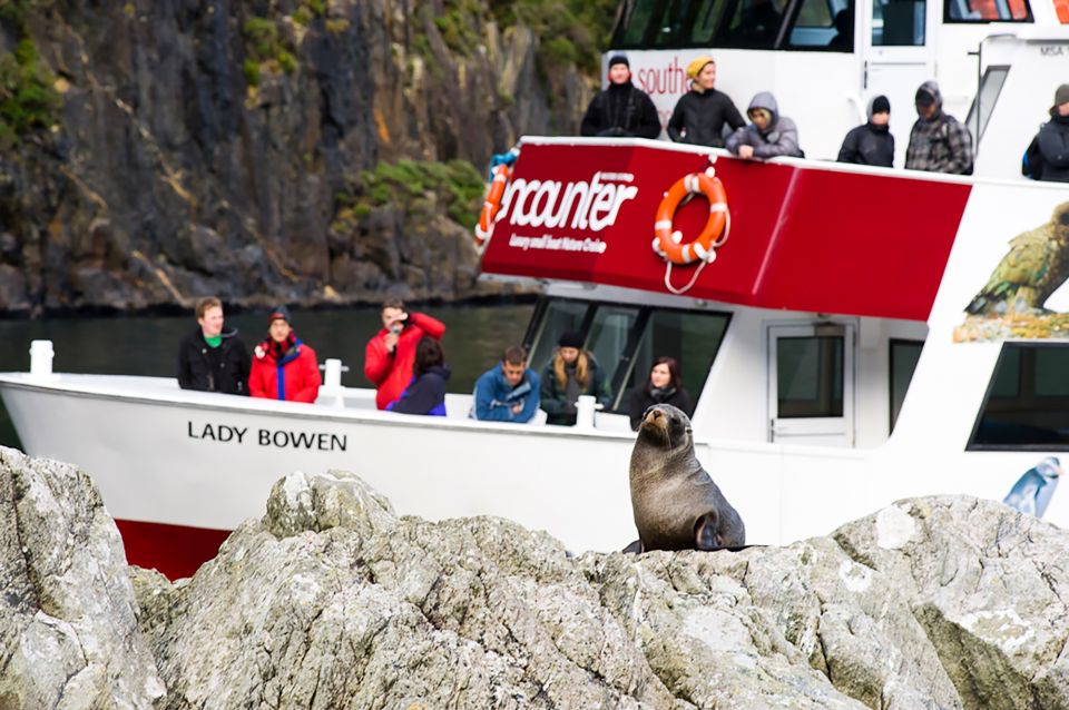 Cruise & Kayak Milford Sound - Frequently Asked Questions