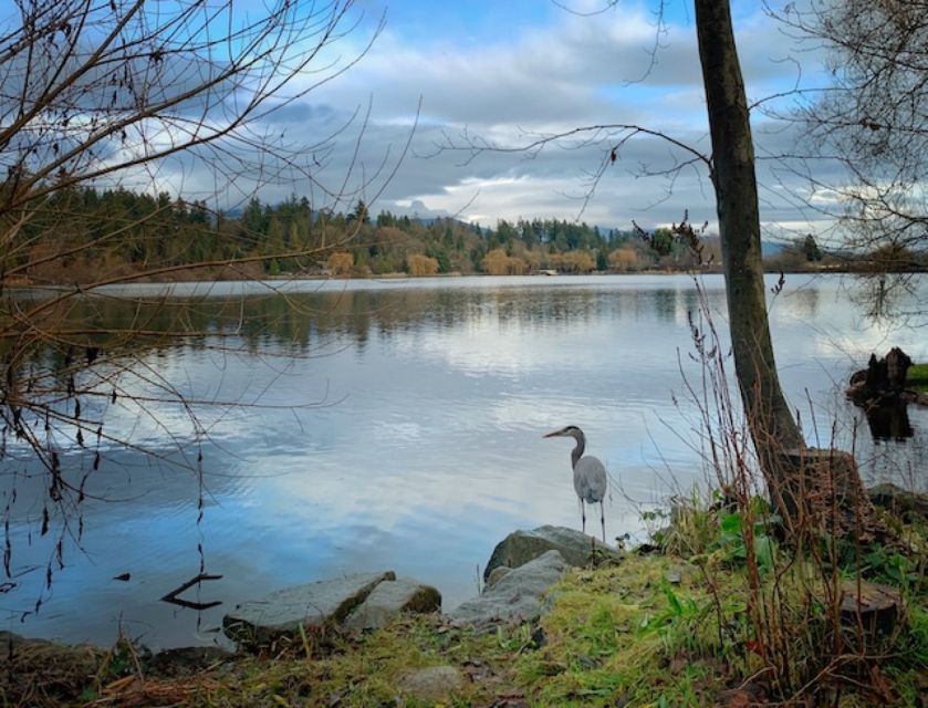Discover Stanley Park With a Smartphone Audio Walking Tour - Frequently Asked Questions