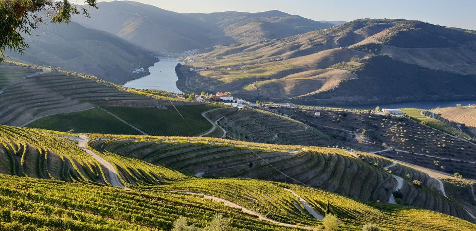 Douro Valley: Premium Full-Day Tour Experience - Frequently Asked Questions