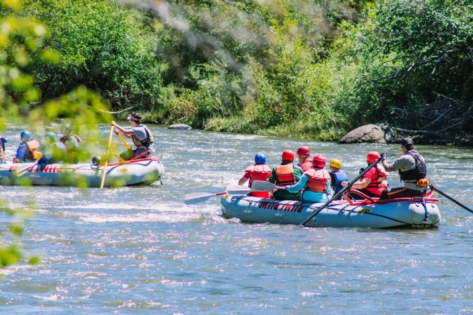 Durango, CO: Whitewater Rafting — Half Day Trip - Frequently Asked Questions