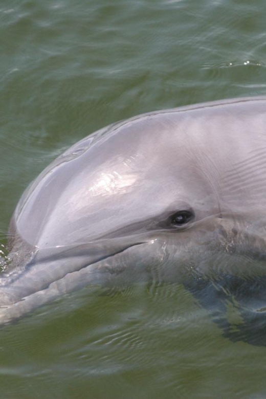 Everglades National Park: Pontoon Boat Tour & Boardwalk - Inclusions and Exclusions