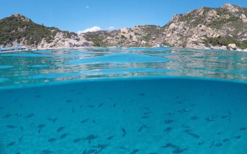 From Cannigione: Catamaran Tour Among the La Maddalena Islands - Frequently Asked Questions