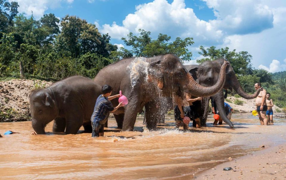 From Chiang Mai: Kerchor Eco Elephant Park Tour - Frequently Asked Questions