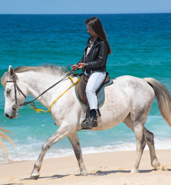 From Evora: Horseback Riding on Comporta Beach - Frequently Asked Questions