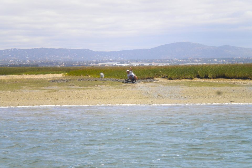 From Faro: Ria Formosa Lagoon Boat Tour With Local Guide - Frequently Asked Questions