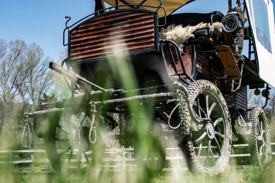 From Florence: Carriage Ride in Chianti Hills With Lunch - Frequently Asked Questions