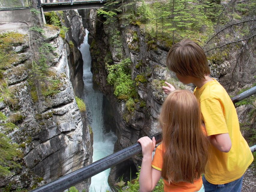 From Jasper: Jasper National Park Wildlife Discovery Tour - Pickup and Drop-off Arrangements