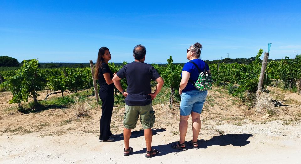 From Lisbon: Setúbal & Arrábida Wine Tour With Lunch - Frequently Asked Questions