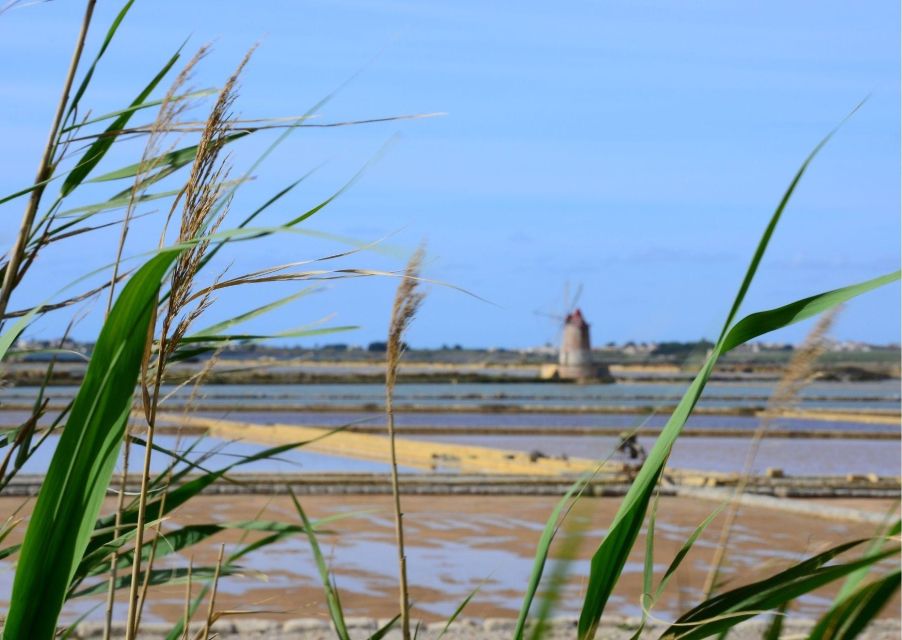 From Palermo: Erice & Marsala Salt, Olive Oil, and Wine Tour - Frequently Asked Questions