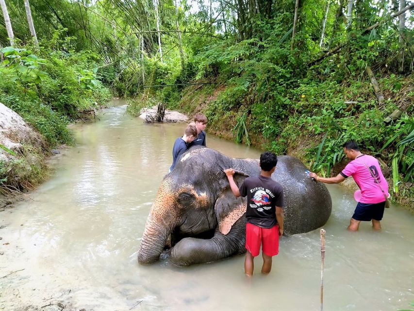 From Phuket: Elephant & Sea Turtle Conservation Private Tour - Frequently Asked Questions