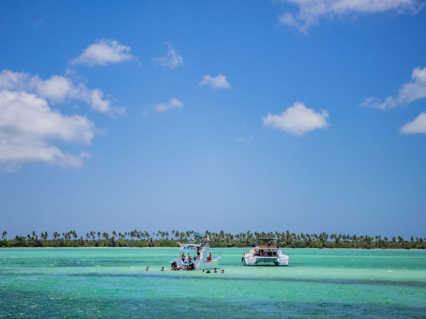 From Punta Cana: Saona Island Private Guided Catamaran Tour - Frequently Asked Questions