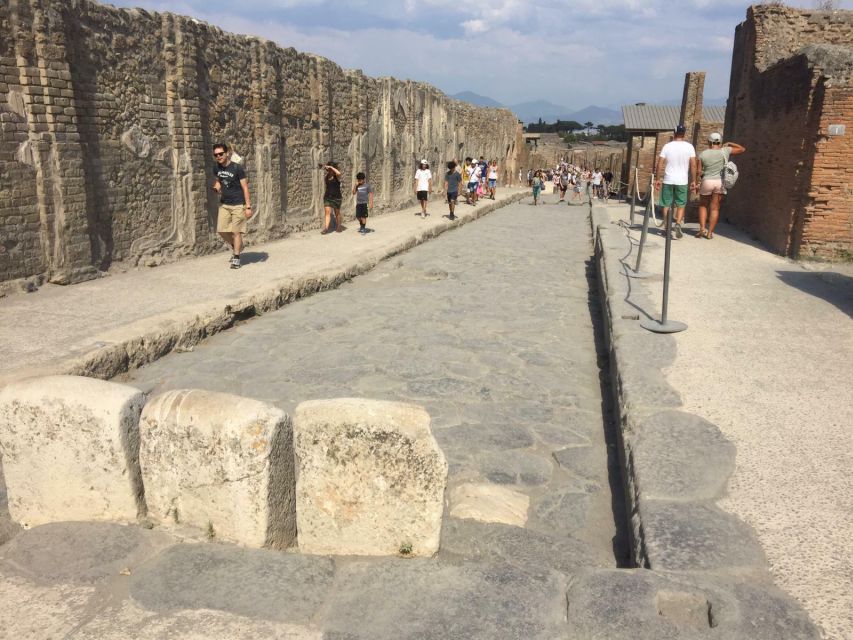 From Rome: Pompeii All-Inclusive Tour With Live Guide - Recap