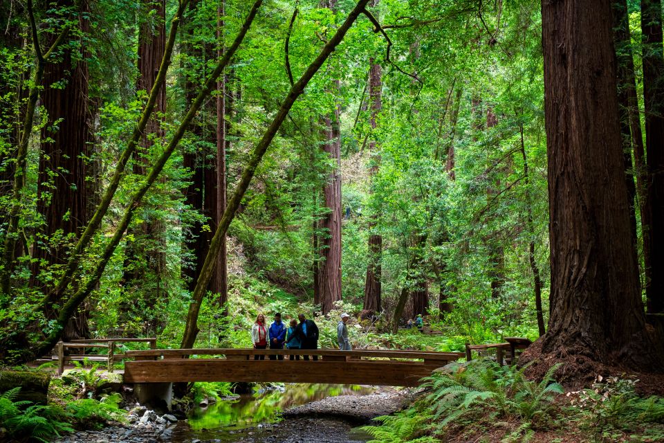 From San Francisco: Muir Woods Redwood Forest Tour - Recap