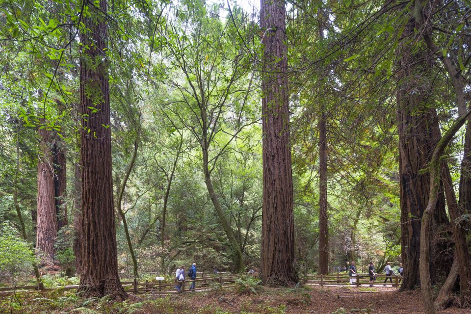 From San Francisco: Muir Woods, Sausalito and Alcatraz Tour - Frequently Asked Questions