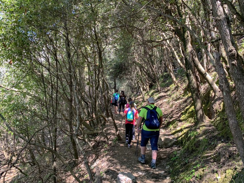 From Sorrento: Path of the Gods Hiking Experience - Frequently Asked Questions