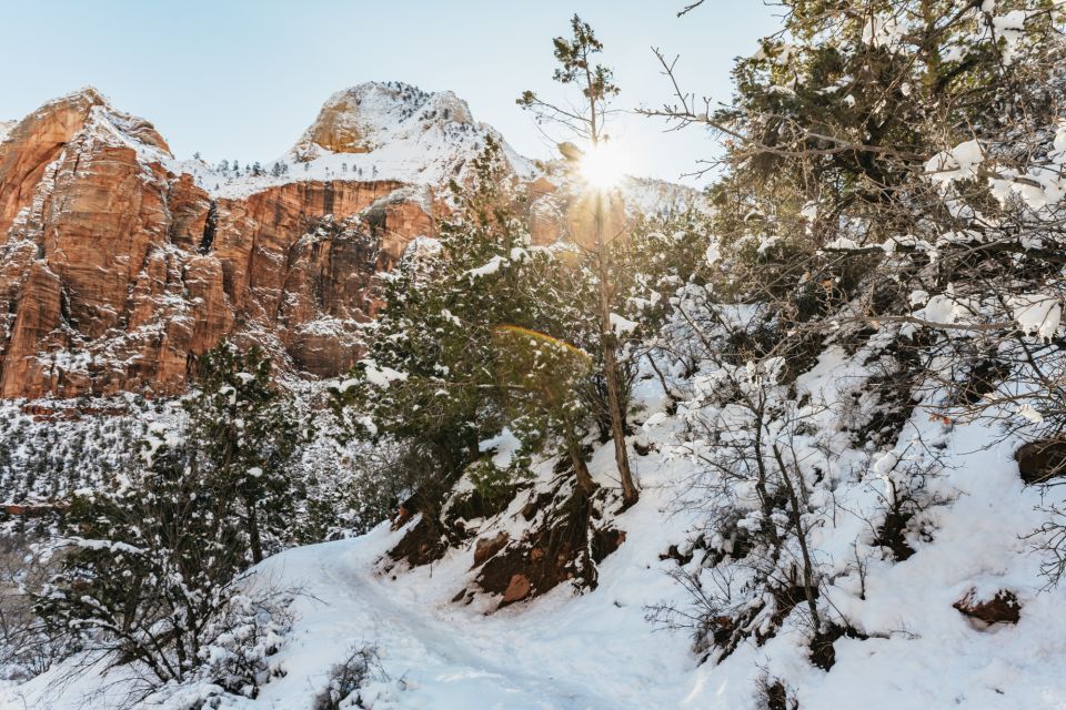 From Springdale: 4-hour Zion Canyon Scenic Hiking Tour - Frequently Asked Questions