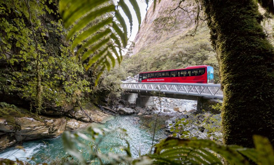 From Te Anau: 1-Day Milford Sound Coach & Cruise - Highlights & Inclusions