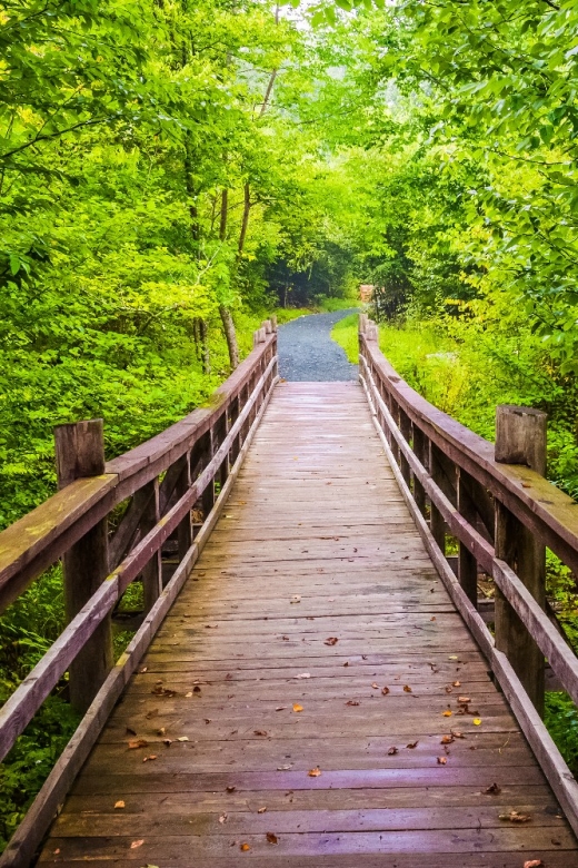 Great Smoky & Shenandoah National Park Driving Audio Tour - Frequently Asked Questions