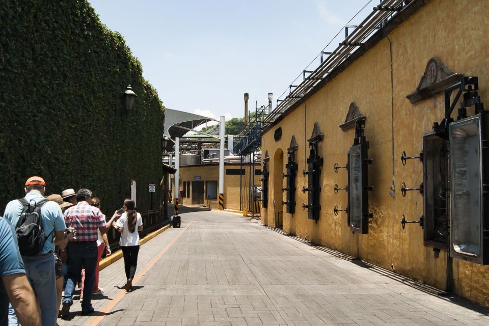 Guadalajara: Tequila Day Trip With Jose Cuervo Option - Frequently Asked Questions