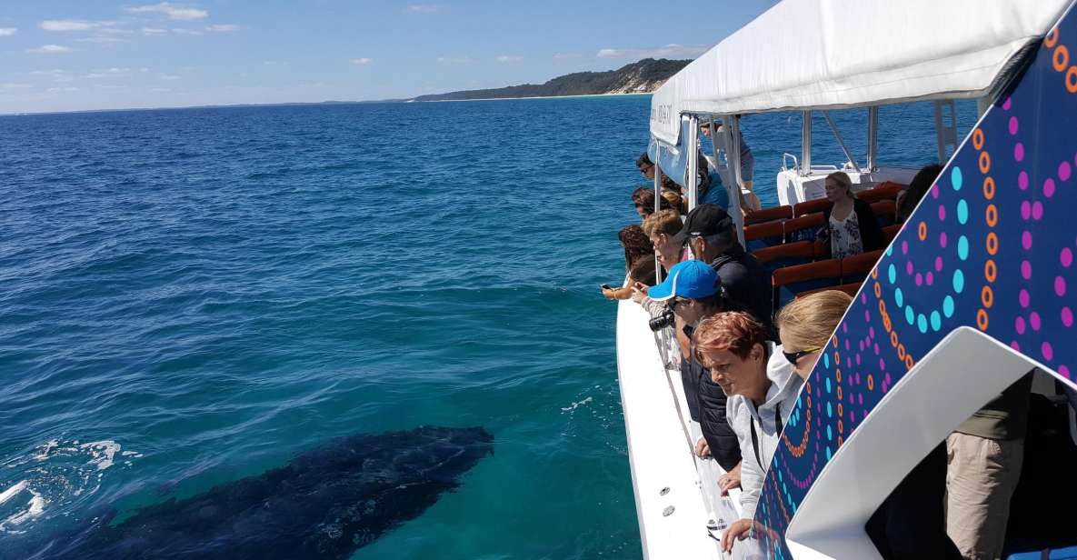 Hervey Bay: Ultimate Whale Watching Experience - Frequently Asked Questions