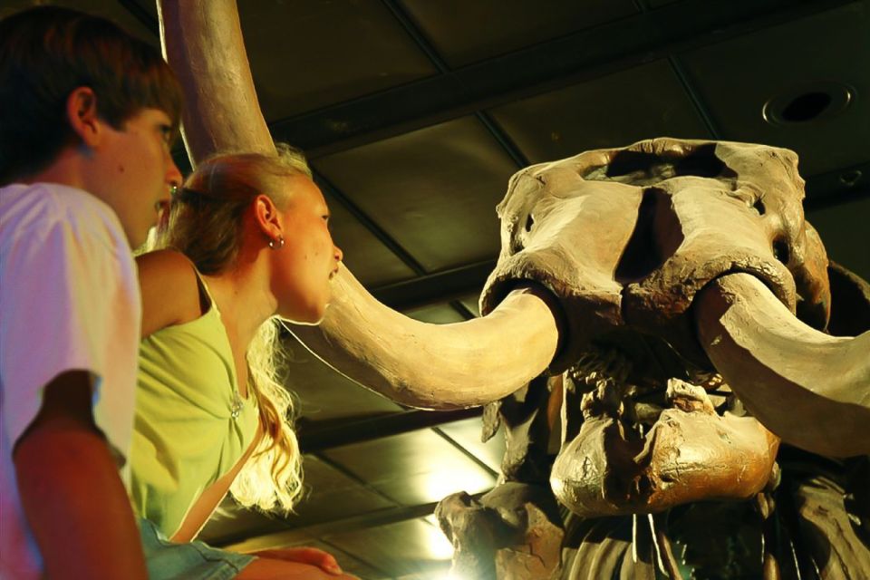 Houston: Museum of Natural Science General Admission Ticket - Frequently Asked Questions