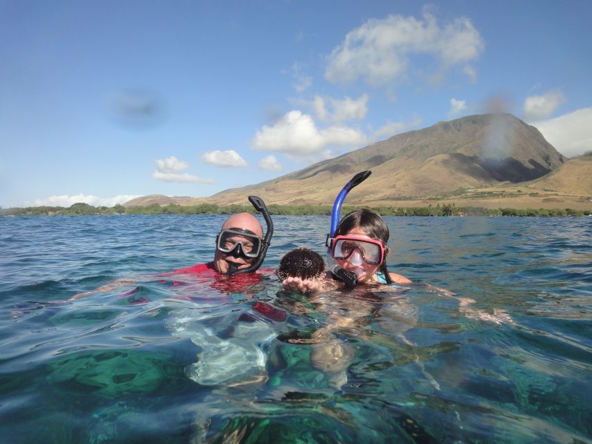 Kayaking and Snorkeling at Turtle Reef - Recap