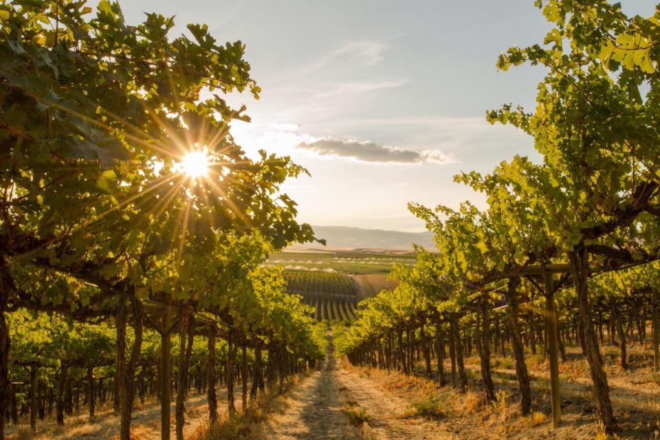 Kelowna: Sunset Sip Wine Tour - Frequently Asked Questions