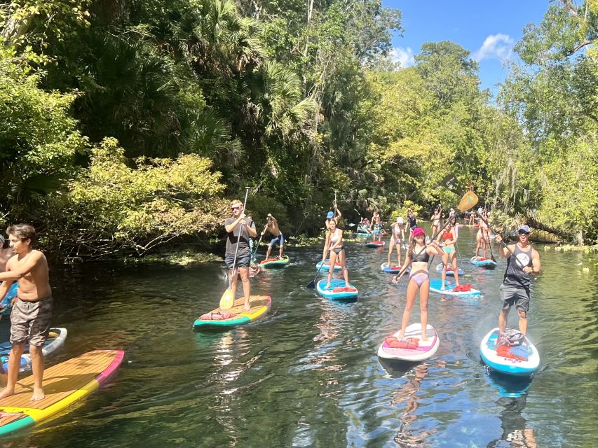 Longwood: Guided Wekiva River Paddleboarding Tour - Frequently Asked Questions