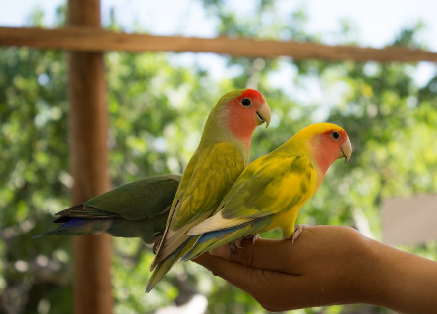 Los Cabos: Animal Sanctuary Tour - Frequently Asked Questions