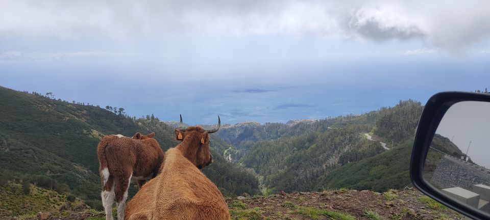 Madeira: 25 Fontes and Risco Levada Hike With Transfers - Frequently Asked Questions