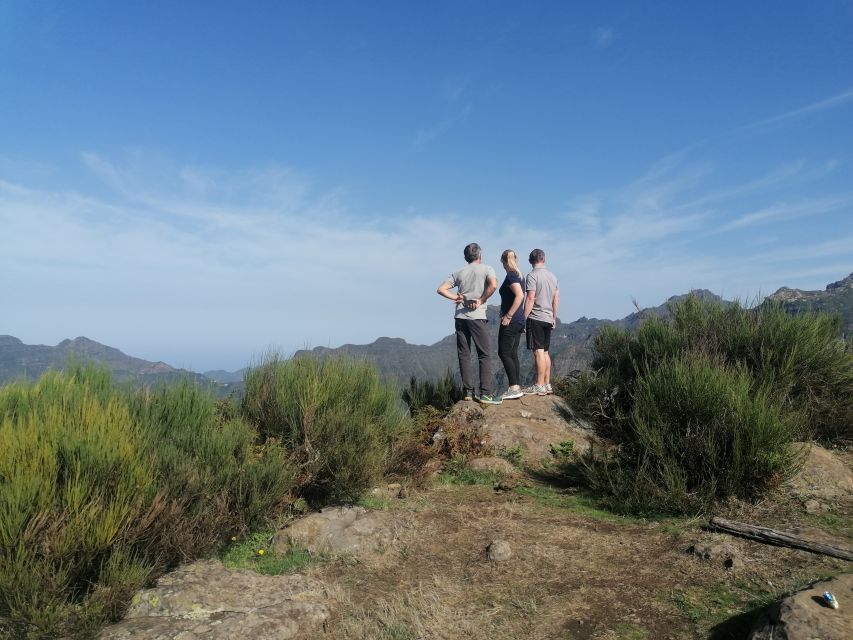 Madeira: Half-Day Off-Road Buggy Tour - Frequently Asked Questions