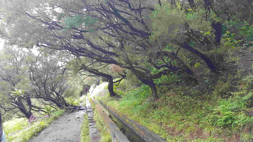 Madeira: Private Walking Tour of Levada Das 25 Fontes PR6 - Frequently Asked Questions