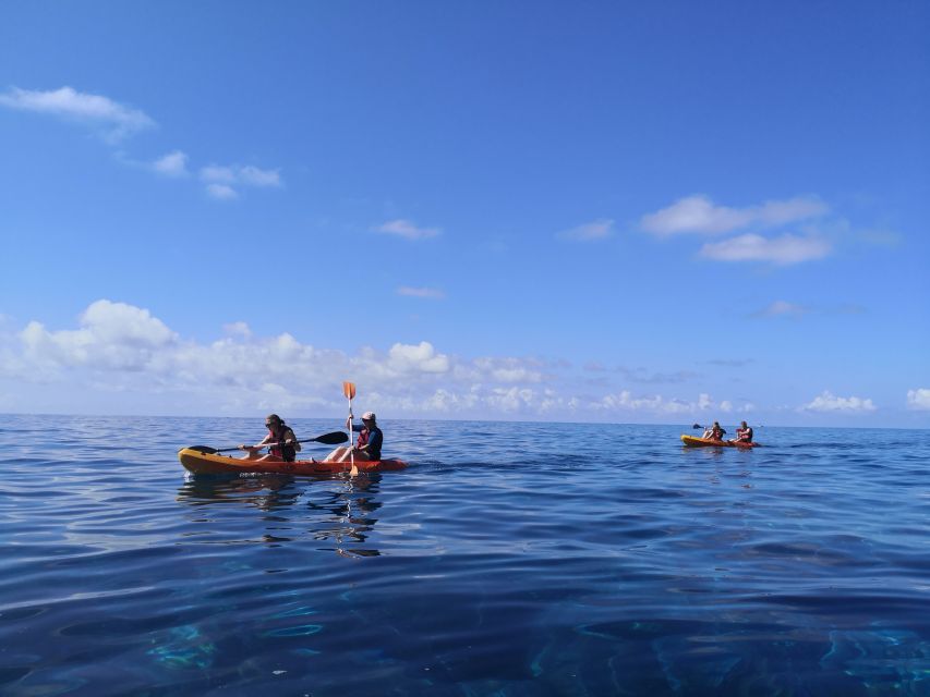 Madeiras Marine Reserve: Kayak & Snorkelling Trip - Frequently Asked Questions