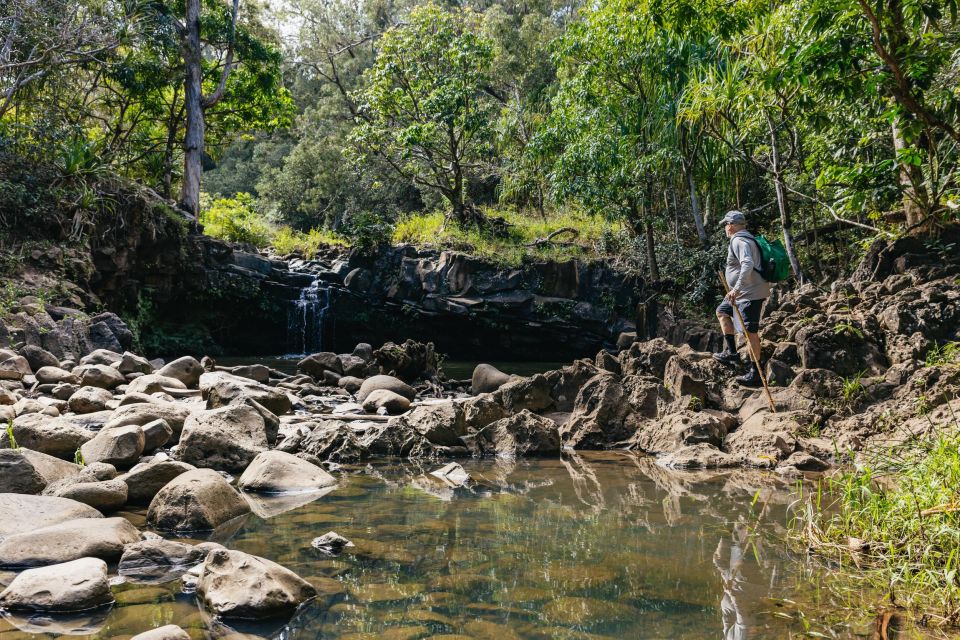 Maui: Rainforest Waterfalls Guided Hike With Picnic Lunch - Frequently Asked Questions