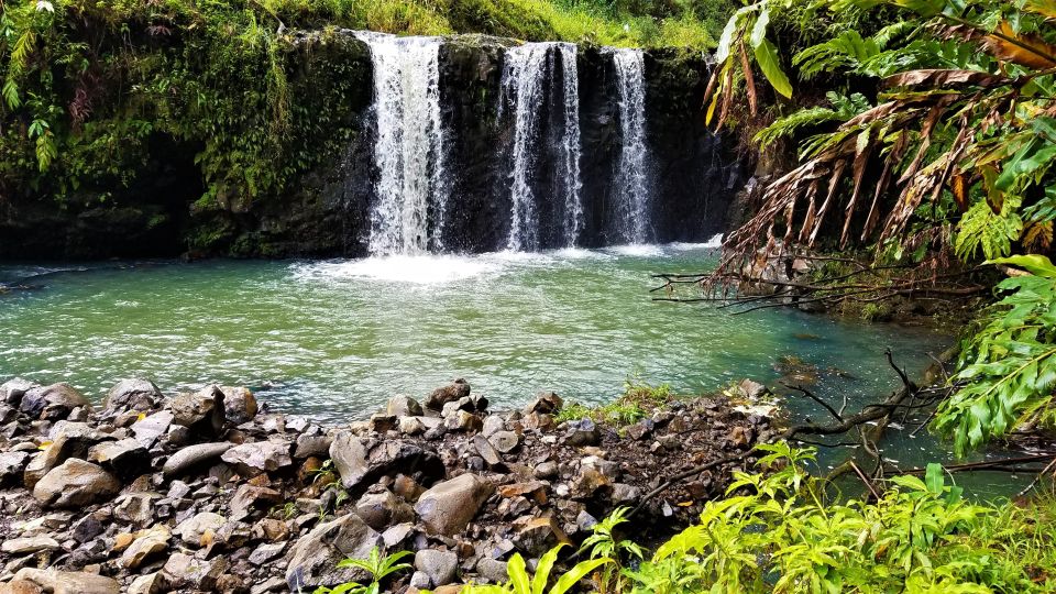 Maui Tropical Rainforest Eco Tour With Lunch - Frequently Asked Questions