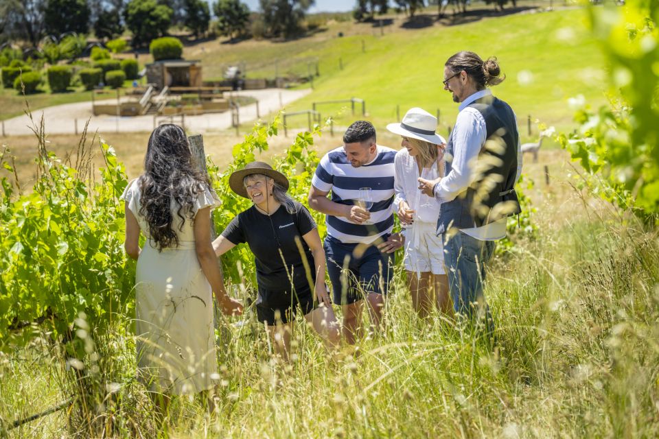 McLaren Vale: Biodynamic Wine Tasting and Degustation Lunch - Recap