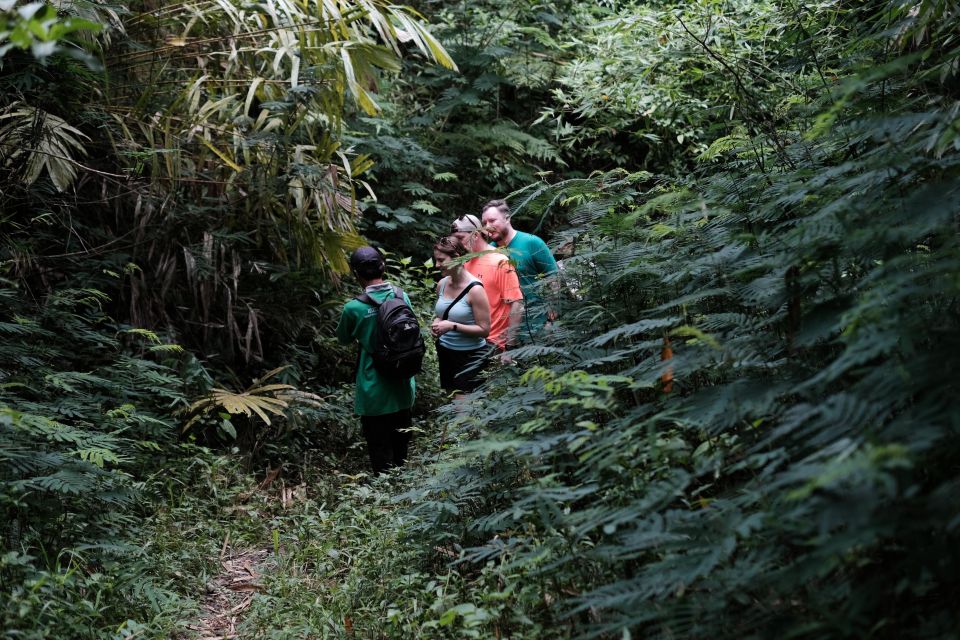 Mt. Merapi Majesty: Soft Trek and Botanic Village Tour - Frequently Asked Questions