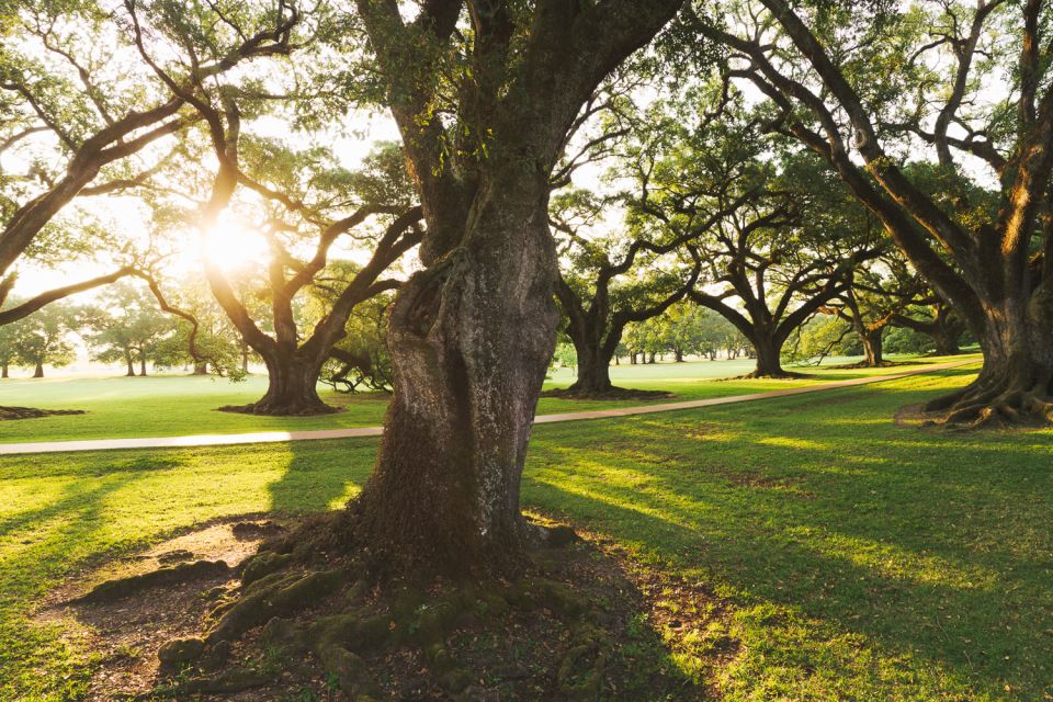 New Orleans: Oak Alley Plantation and Swamp Cruise Day Trip - Frequently Asked Questions