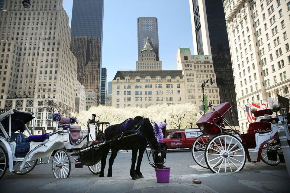 NYC:Guided Central Park Horse Carriage Ride - Recap