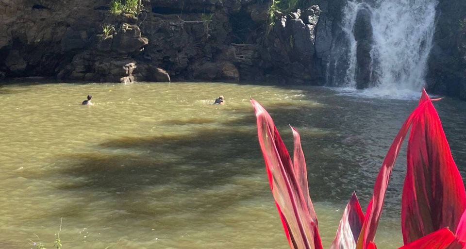 Oahu: Valley of Waimea Falls Swim & Hike With Lunch & Dole - Frequently Asked Questions