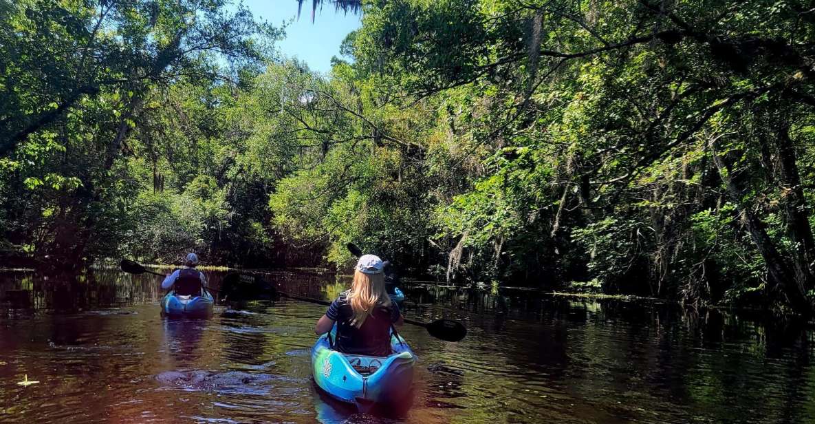 Old Florida Backwater Kayak Adventure Near St. Augustine - Wildlife Sightings