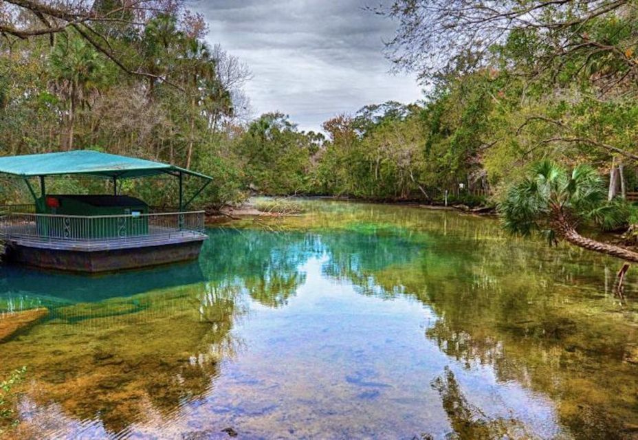 Orlando: Swim With Manatees and Homosassa State Park Visit - Frequently Asked Questions