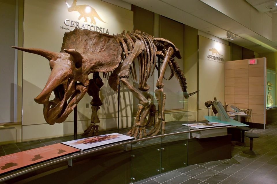 Ottawa: Canadian Museum of Nature Admission - Frequently Asked Questions